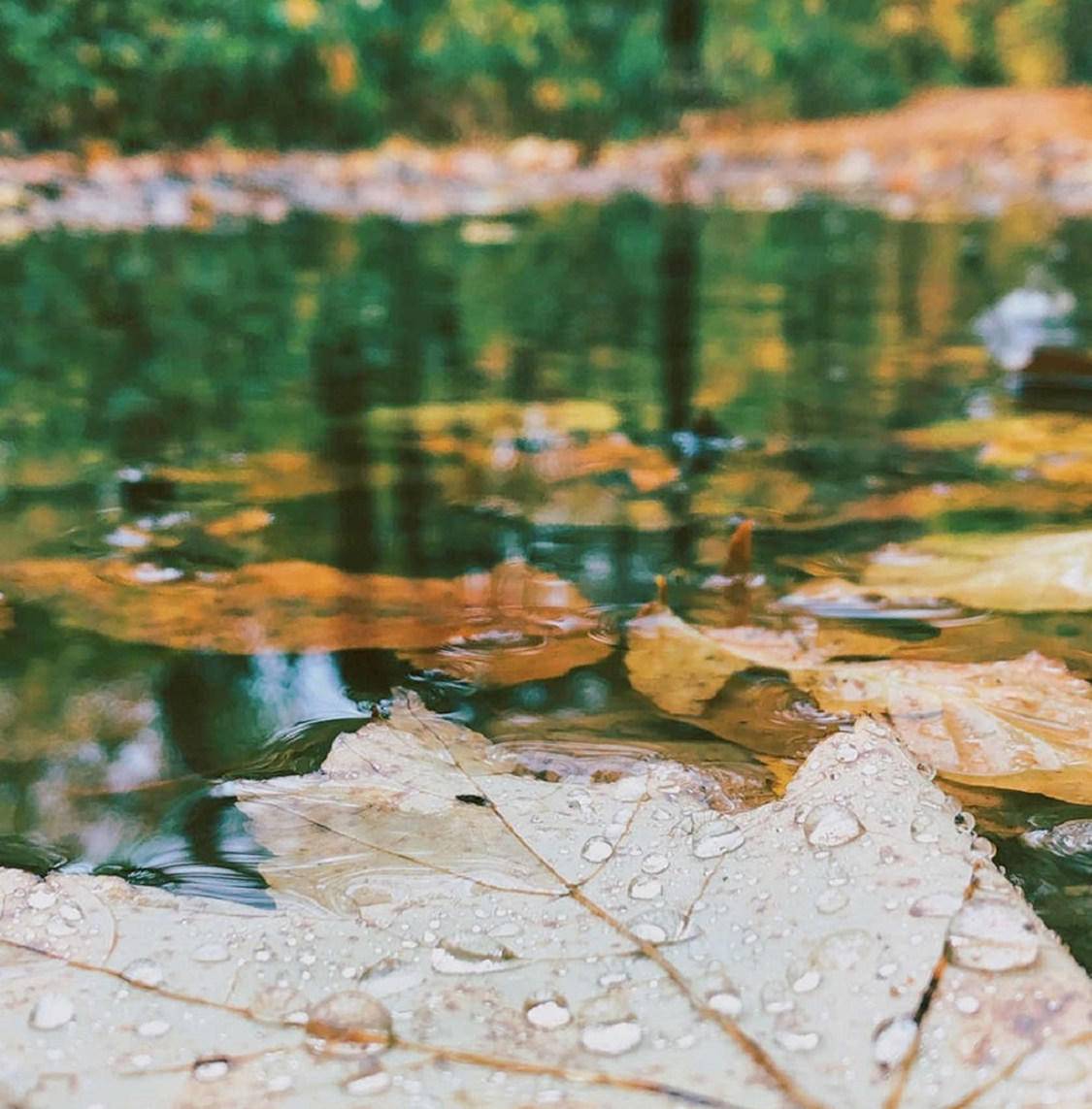 所有随风而逝的都属于昨天，所有历经风雨留下的才是面向未来。